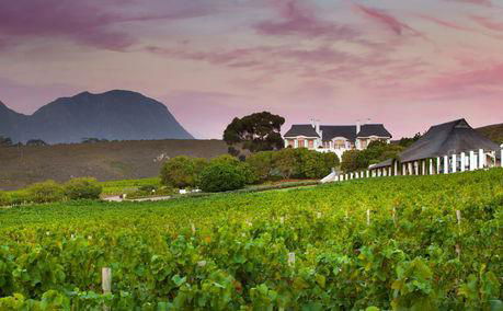 Wine Tasting, Hemel-en-Aarde Valley, Attractions, Hermanus Luxury Accommodation, DCC Hotel Group