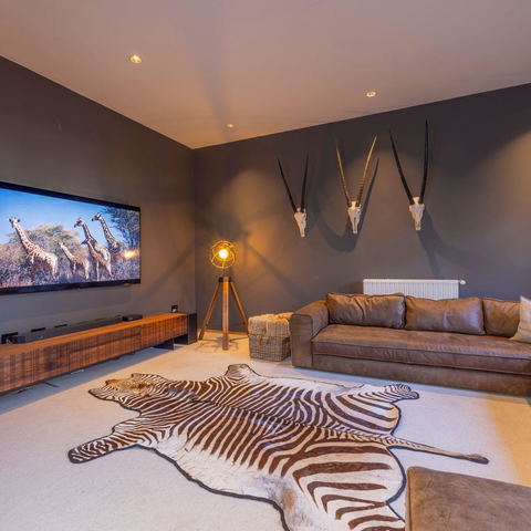 TV/Sound Room