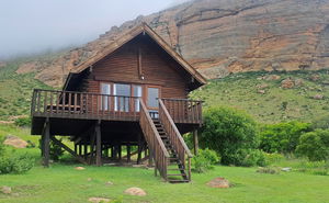 Witkruisarend Eco cabin