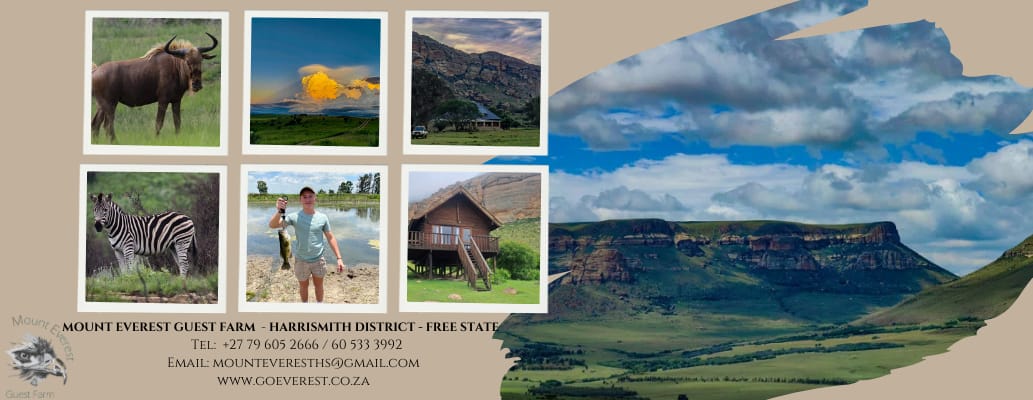 pet friendly accommodation in the free state