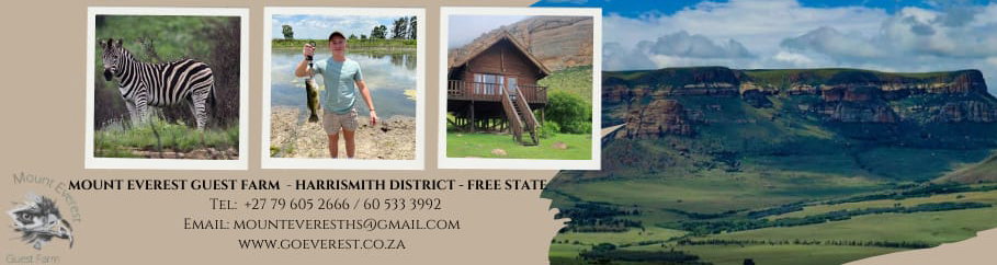pet friendly accommodation in the free state