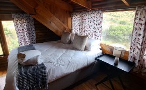 Witkruisarend Eco cabin