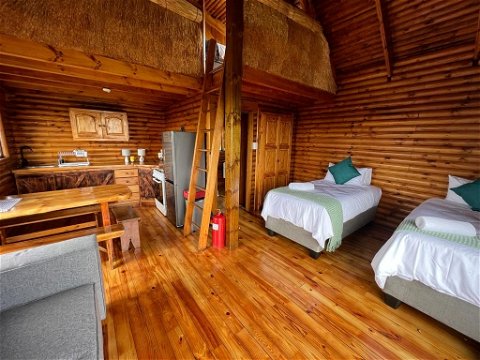 Witkruisarend eco cabin