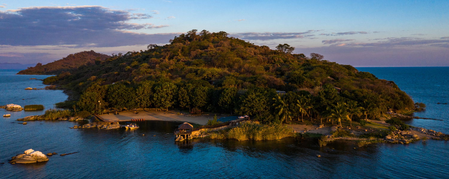 Blue Zebra on Nankoma Island in Malawi with Lowani Travel