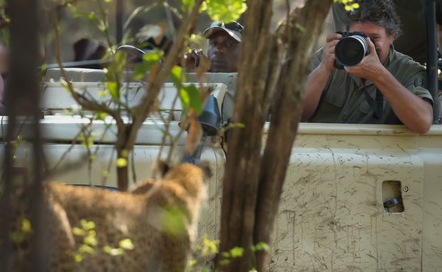 Floris Leeuwenburg making photo of Leopard