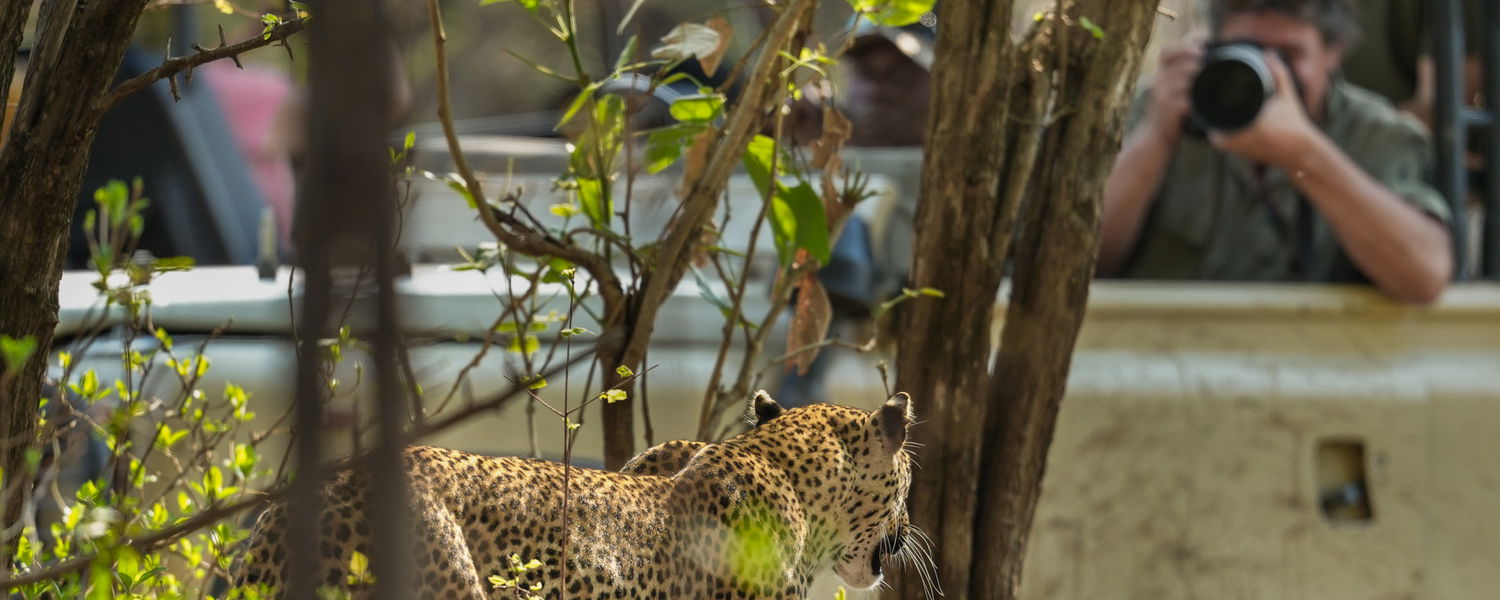 Floris Leeuwenburg making photo of Leopard
