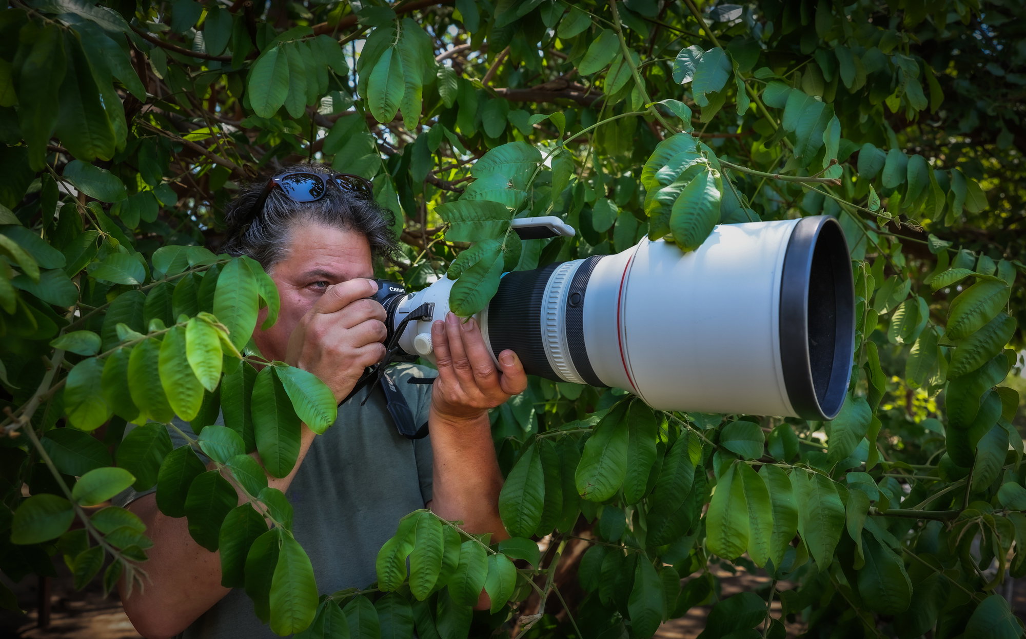 Floris Leeuwenburg making photo of Leopard