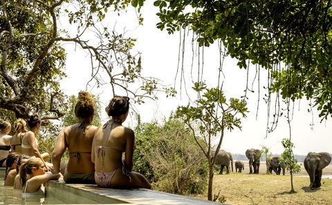 Girls watching elephants passing by while they are in the pool at msandile river lodge in south luangwa national park in zambia