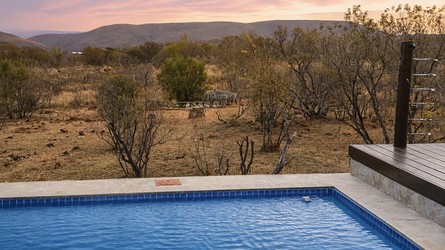 Pool overlooking watering hole