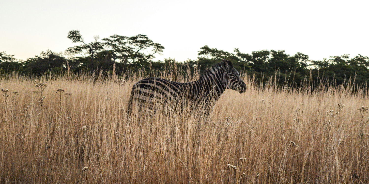 Find and book your self-catering home in Mabalingwe