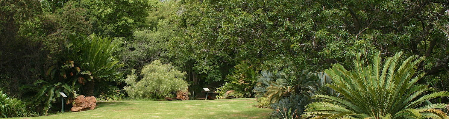 Experience Nature