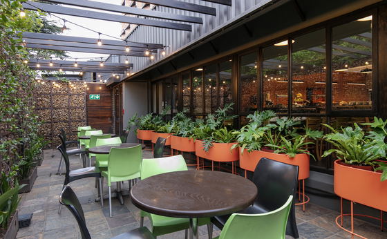 Pepper Tree Restaurant