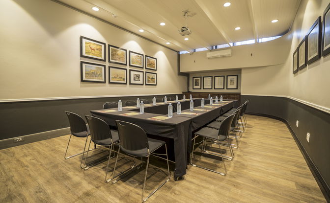 Professional Conferencing