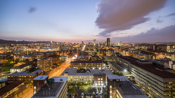 Explore the City