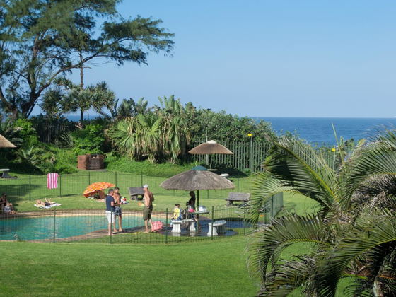 Communal pool and garden