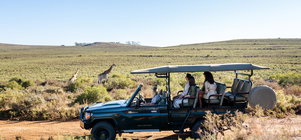 Romance & Adventure Package