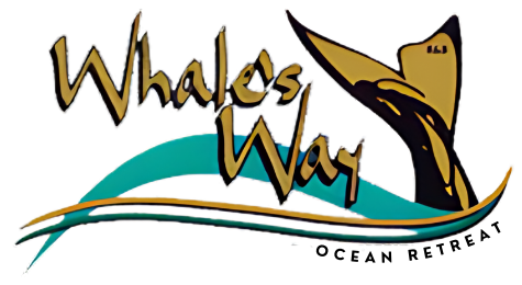Whale’s Way Ocean Retreat | Clifftop Bed & Breakfast in Wilderness, Garden Route