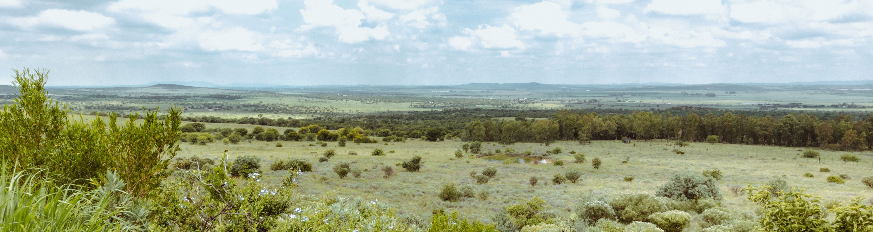 Versatile Venues for Every Event