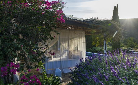 Pool and Garden