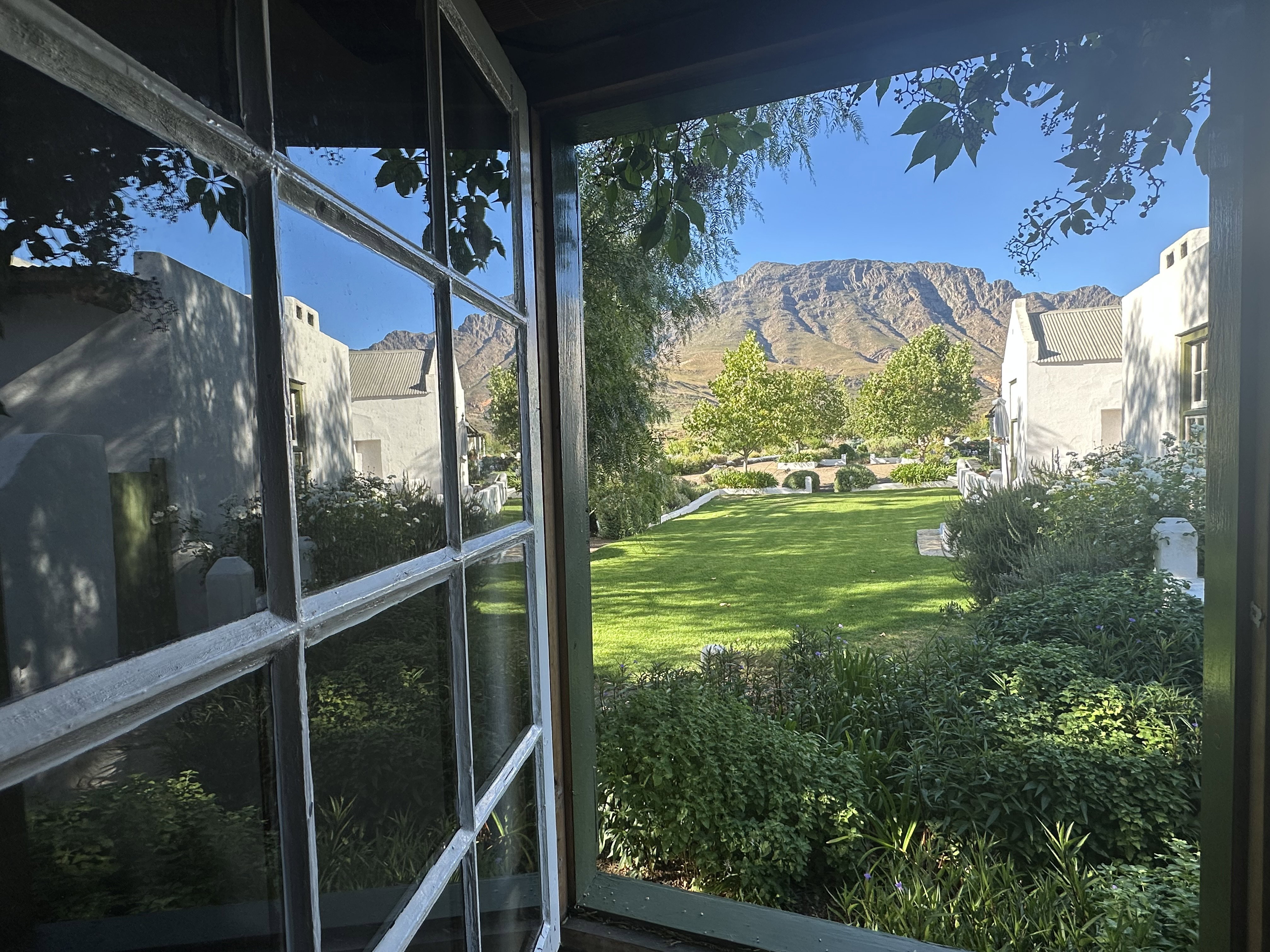 Wake up to beauty.