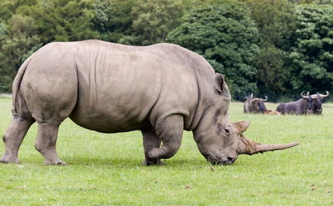 2. Wildlife and Nature