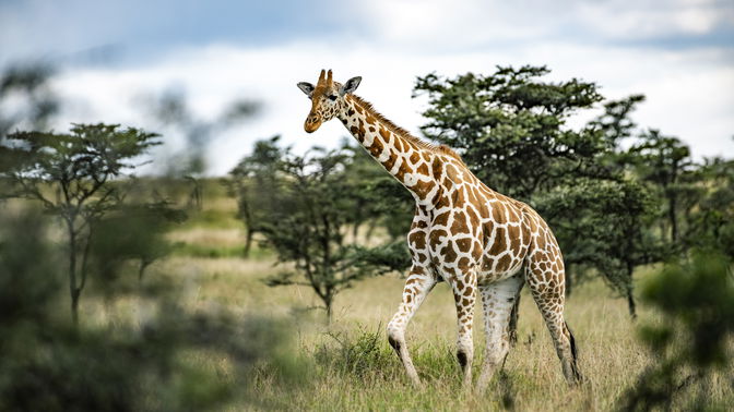 Explore the Best of Phalaborwa