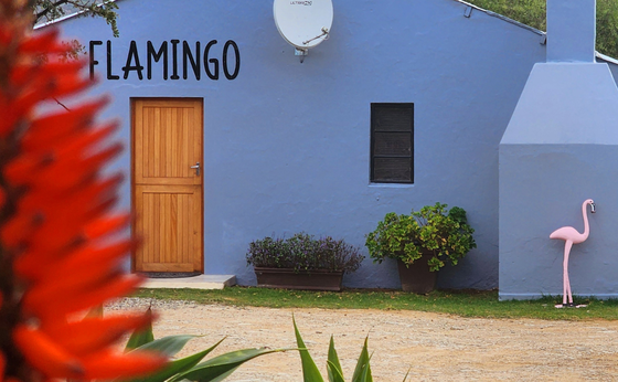 Flamingo Cottage (Pet Friendly)