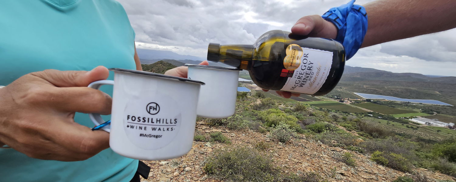 Wine Walks