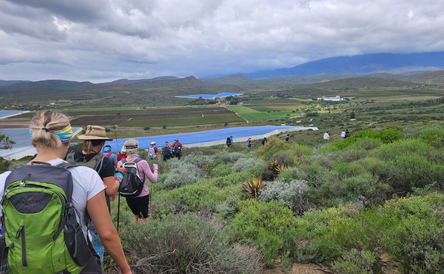 Three Day Guided Wine Walks Trail