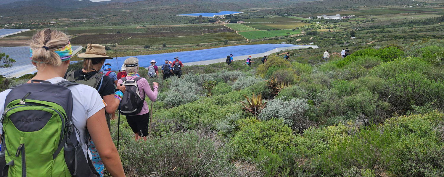 Three Day Wine Walk