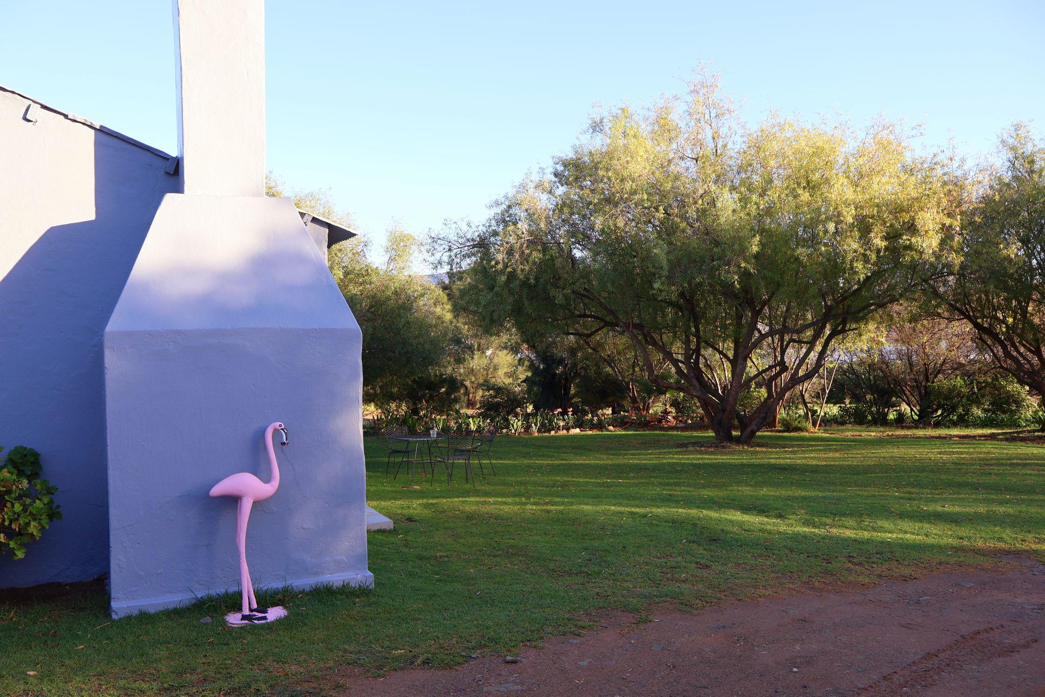 Flamingo