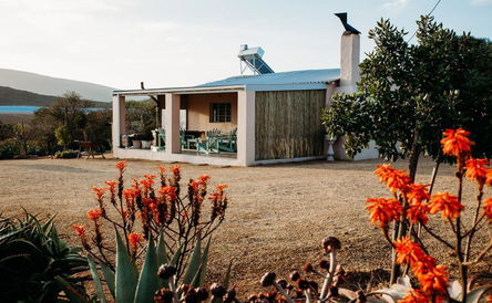 Lemon Tree Cottage (Pet Friendly)