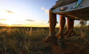 Kalahari Discovery 5-Day Lodge Tour