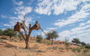 Augrabies to Kgalagadi 5-Day Guided Self-Drive Camping/Lodge Tour
