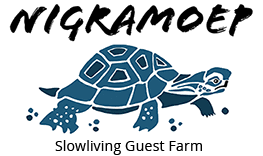 Nigramoep