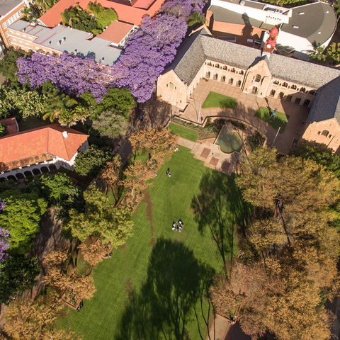 Nearby Activities