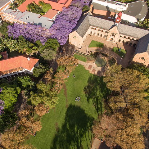 Nearby Activities