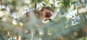 4 Nights Package: Discover the Wonders of Nature