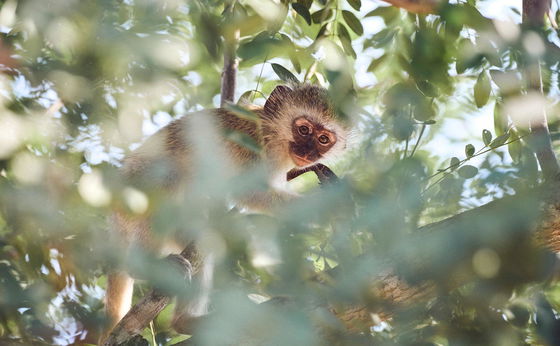 4 Nights Package: Discover the Wonders of Nature