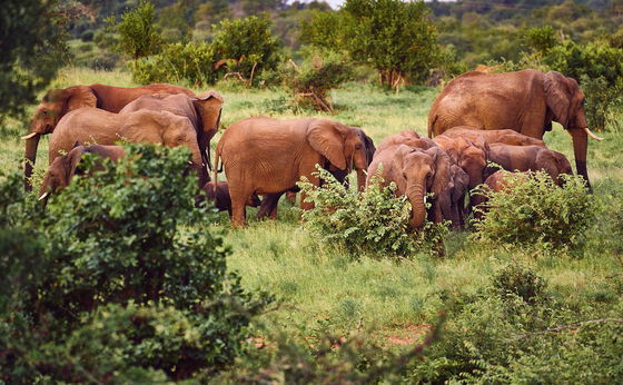 3-Night Package: "Exciting Kruger Expedition and Safari Adventure"