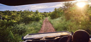 4 Night Package: Immerse Yourself in the Wilderness of South Africa