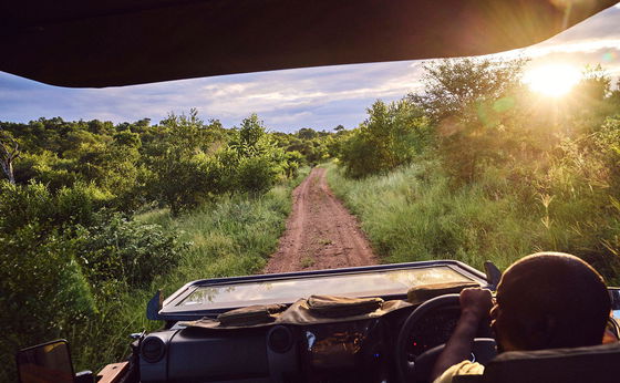 4 Night Package: Immerse Yourself in the Wilderness of South Africa