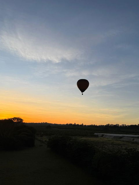 Balloon Safari