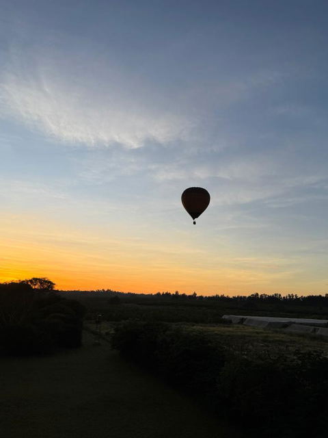Balloon Safari