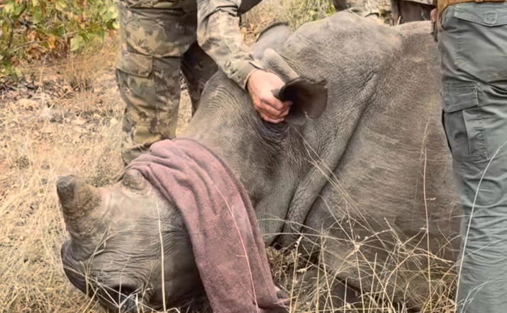 BALULE COMMUNITY & ANTI-POACHING TRUST