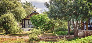 2-Night adventure package: short vacation in Kruger National Park