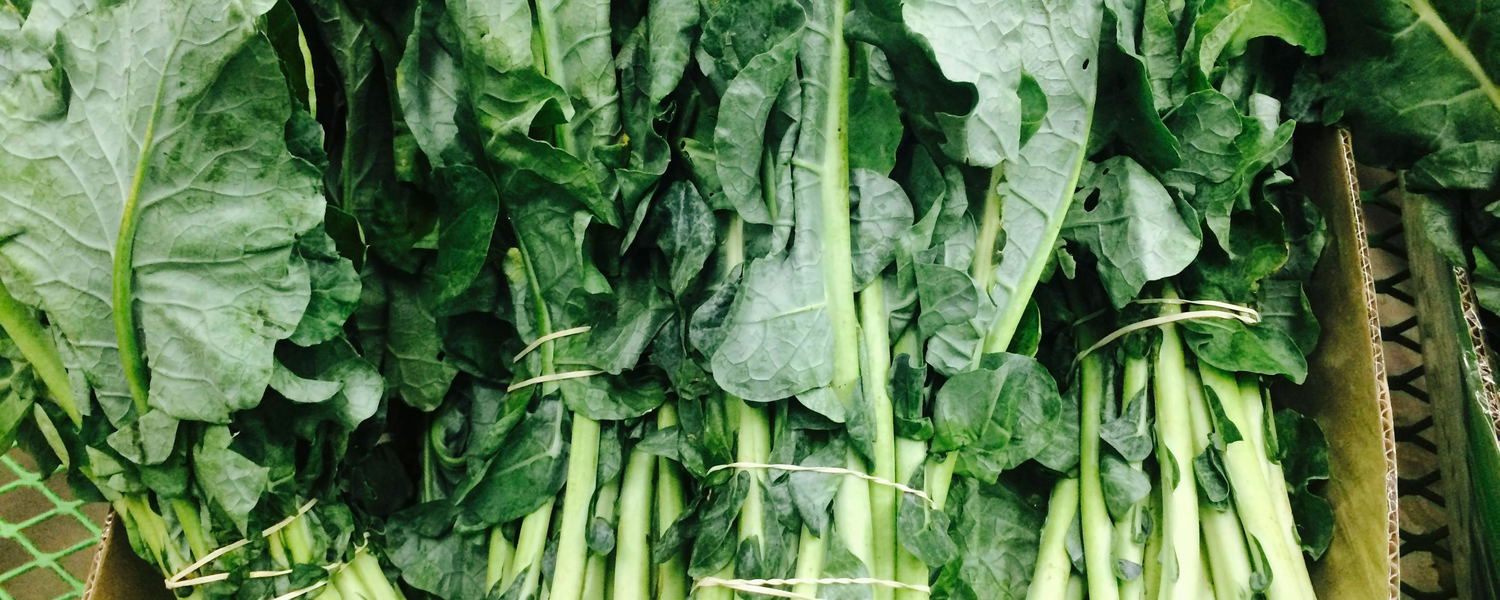 Permaculture