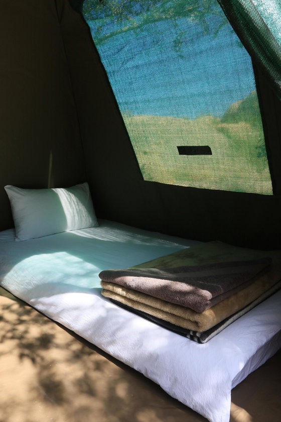 Comfy CampIng Tent