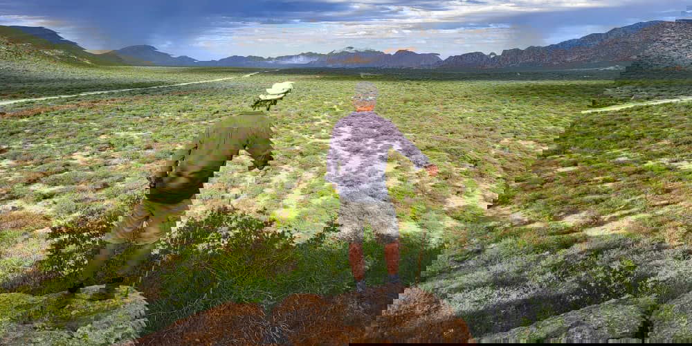 Hiking, Mountain Hike, Sleep out, Nature Walk, Adventure Walk, Erongo Mountains Hike, Overnight Hiking