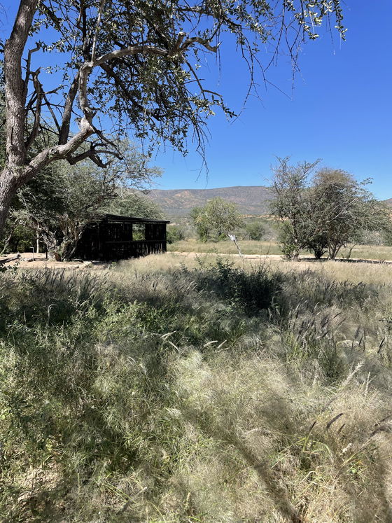 Camp Peti